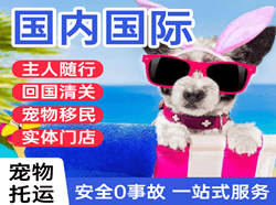 柳州白莲航空邮寄国际宠物托运 【国